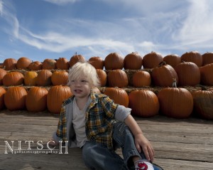 pumpkins!