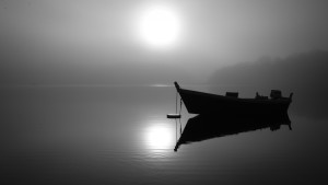 Silver Fog